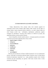 Korupcija viešajame administravime 6 puslapis