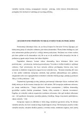 Korupcija viešajame administravime 8 puslapis