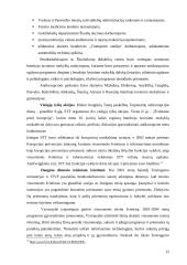 Korupcija Lietuvoje 15 puslapis