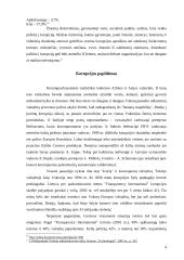 Korupcija Lietuvoje 4 puslapis