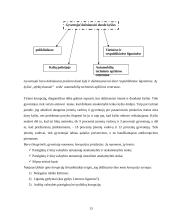 Korupcijos pasireiškimas, atpažinimas, diagnostika 13 puslapis