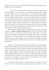 Pinigai ir jų raida 11 puslapis