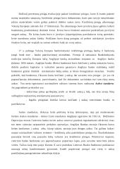 Pinigai ir jų raida 4 puslapis