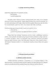 Pinigai ir jų raida 5 puslapis