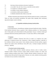 Pinigai ir jų raida 6 puslapis