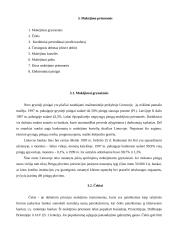 Pinigai ir jų raida 7 puslapis