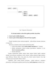 Kursinis projektas: Kauno Soboro eksterjero restauracija 13 puslapis