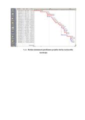 Kursinis projektas: Kauno Soboro eksterjero restauracija 16 puslapis