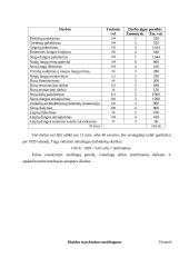 Kursinis projektas: Kauno Soboro eksterjero restauracija 19 puslapis