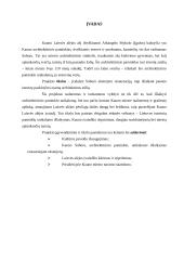 Kursinis projektas: Kauno Soboro eksterjero restauracija 2 puslapis