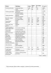 Kursinis projektas: Kauno Soboro eksterjero restauracija 20 puslapis