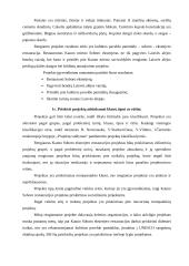 Kursinis projektas: Kauno Soboro eksterjero restauracija 4 puslapis