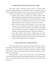 Kursinis projektas: Kauno Soboro eksterjero restauracija 5 puslapis