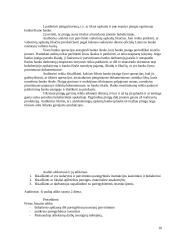 Piniginių lėšų vidaus auditas įmonėje "Ąžuolas" 9 puslapis