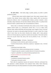 Pinigų ir paskolų apskaita AB "Hansabankas" 2 puslapis