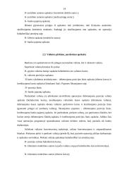 Pinigų ir paskolų apskaita AB "Hansabankas" 14 puslapis