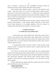 Pinigų ir paskolų apskaita AB "Hansabankas" 19 puslapis