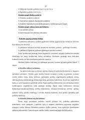 Pinigų ir paskolų apskaita AB "Hansabankas" 20 puslapis