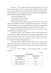 Pinigų ir paskolų apskaita AB "Hansabankas" 7 puslapis