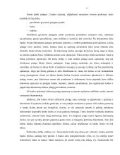 Pinigų laikymo ir atsiskaitymų organizavimas VĮ Šalčininkų miškų urėdijoje 17 puslapis