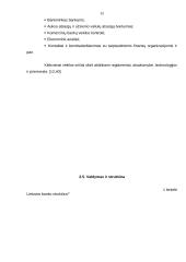 Pinigų pasiūlos reguliavimas. Ar tai yra Lietuvoje? 15 puslapis