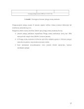 Pinigų srautų ataskaita įmonės pavyzdžiu 12 puslapis