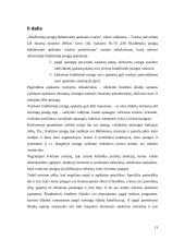 Pinigų srautų ataskaita įmonės pavyzdžiu 13 puslapis