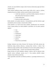 Pinigų srautų ataskaita įmonės pavyzdžiu 14 puslapis