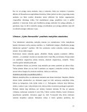 Pinigų srautų ataskaita įmonės pavyzdžiu 15 puslapis