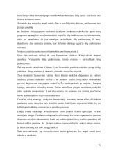 Pinigų srautų ataskaita įmonės pavyzdžiu 16 puslapis