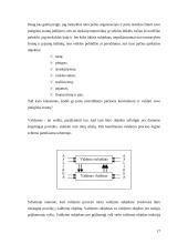 Pinigų srautų ataskaita įmonės pavyzdžiu 17 puslapis