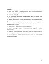 Pinigų srautų ataskaita įmonės pavyzdžiu 19 puslapis