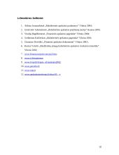 Pinigų srautų ataskaita įmonės pavyzdžiu 20 puslapis