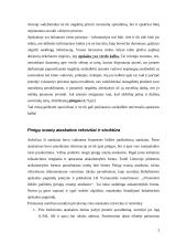 Pinigų srautų ataskaita įmonės pavyzdžiu 3 puslapis