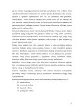 Pinigų srautų ataskaita įmonės pavyzdžiu 6 puslapis