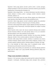 Pinigų srautų ataskaita įmonės pavyzdžiu 7 puslapis