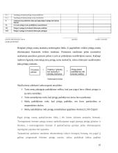 Pinigų srautų ataskaita įmonės pavyzdžiu 10 puslapis