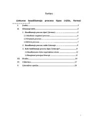 Lietuvos baudžiamojo proceso tipas 2 puslapis