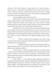 Lietuvos baudžiamojo proceso tipas 10 puslapis