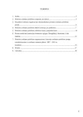 Pirminės sveikatos priežiūros organizavimas ir reformos kryptys 2 puslapis