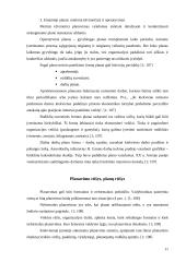 Planavimo ypatumai: prekyba automobilių dalimis UAB "Eoltas" 11 puslapis