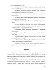 Planavimo ypatumai: prekyba automobilių dalimis UAB "Eoltas" 12 puslapis
