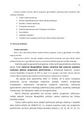 Lietuvos policijos sistemos plėtros programos įgyvendinimas 12 puslapis