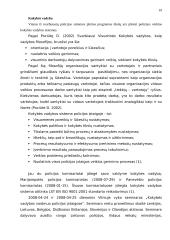 Lietuvos policijos sistemos plėtros programos įgyvendinimas 19 puslapis