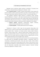 Lietuvos policijos sistemos plėtros programos įgyvendinimas 7 puslapis