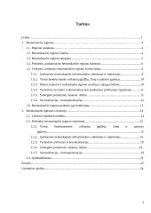 Lietuvos regioninės politikos analizė: prielaidos besimokančio regiono sukūrimui 2 puslapis