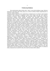 Pobūvis-furšetas. Banko 5 metų darbo jubiliejus 5 puslapis