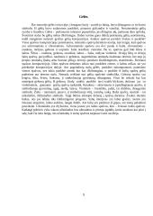 Pobūvis-furšetas. Banko 5 metų darbo jubiliejus 8 puslapis