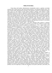 Pobūvis-furšetas. Banko 5 metų darbo jubiliejus 10 puslapis