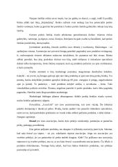 Prekių pozicionavimo principai 13 puslapis